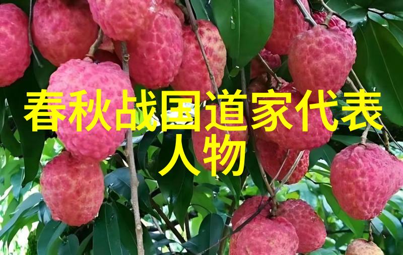 三洞陆修静